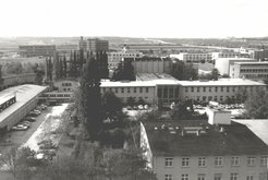 1961 in Mainz
