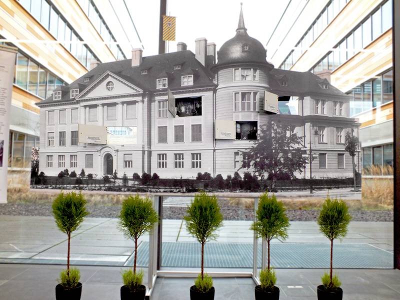 Historisches Gebäude auf einem großformatigen Schwarz-Weiß-Foto, das hinter einer Glaswand mit fünf kleinen Bäumen im Vordergrund gezeigt wird.