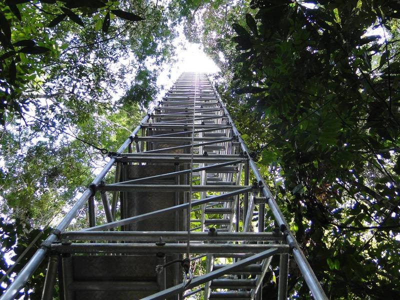 Messturm im brasilianischen Regenwald. Bild: MPI für Chemie