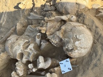 Für ihre Forschung reist die Grupppe Lüdecke zu Ausgrabungsstätten wie diesem Hügelgrab im Oman. Schädelknochen, Staub