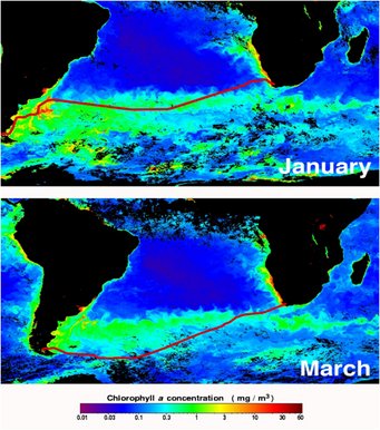 Map of emmissions and uptakes in the ocean