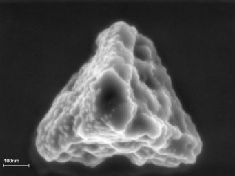 Figure 2. SEM photograph of a presolar silicon carbide grain from the Murchison meteorite. This grain is less than 1 micrometer in size and formed more than 4.57 billion years ago most likely in the wind of a red giant star. Photo: MPI Chemistry. Figure 2. SEM photograph of a presolar silicon carbide grain from the Murchison meteorite. This grain is less than 1 micrometer in size and formed more than 4.57 billion years ago most likely in the wind of a red giant star. Photo: MPI Chemistry.