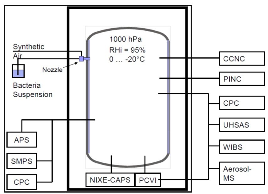 Experimental setup during BIO-05. Graphics: O. Möhler (KIT)
