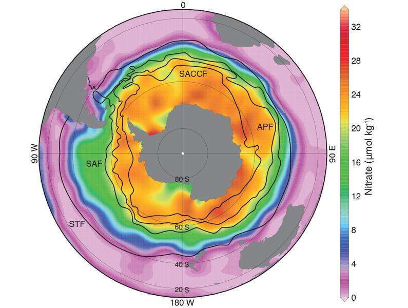 Der Nitratgehalt der Meere rund um die Antarktis. Grafik: Gerald H. Haug, MPI für Chemie Grafik: Nitratgehalt im Meer rund um die Antarktis