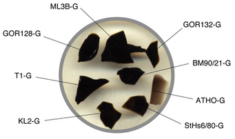 Bild: K.P. Jochum, MPIC Grafik