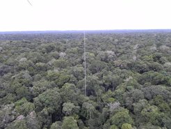 Am 80-Meter hohen Turm Claire finden seit 2011 Voruntersuchungen zu Wetterbedingungen, Ozon, CO2 und flüchtigen organische Verbindungen und stickstoffhaltigen Spurengasen sowie Aerosolen statt. Bild: MPI für Chemie