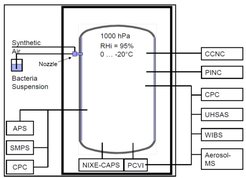 Experimental setup during BIO-05. Graphics: O. Möhler (KIT)