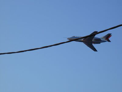 A Falcon fly-by