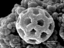 SEM pictures of aerosol particles collected over the Amazon basin (Rondonia) - Dry season