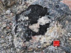 Rocks of the Lahn Valley, Germany, densely covered by mosses and lichens, which partly weather the underlying substrate.