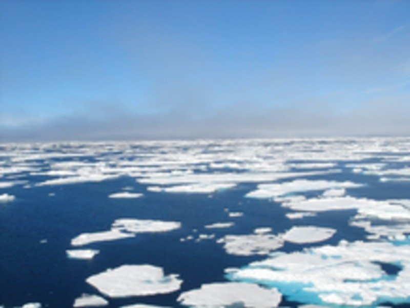 Antarctic sea ice: The sediment samples which the scientists studied were taken from 3 kilometers below this ocean surface. Antarctic sea ice: The sediment samples which the scientists studied were taken from 3 kilometers below this ocean surface.