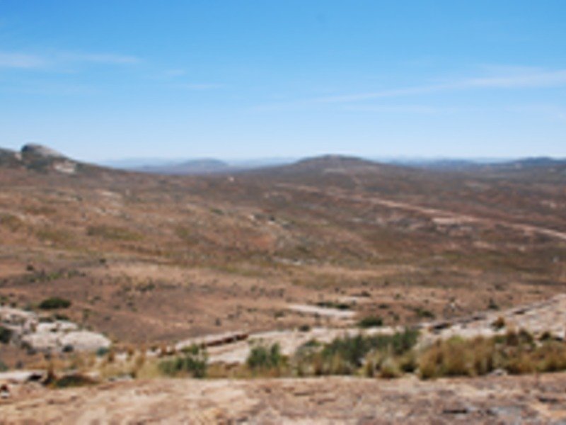 Übersicht über die Halbwüste der Sukkulentenkaroo in der Region um Soebatsfontein, die einen intensiven Bewuchs an biologischen Bodenkrusten aufweist.
