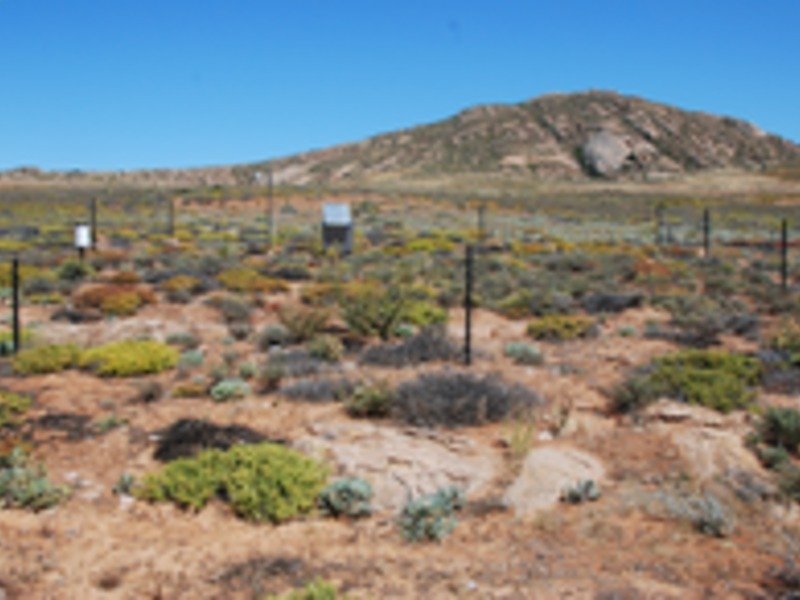 The site, where the soil moisture sensors are installed as a compound of climate stations, is protected from grazing animals by means of a fence.