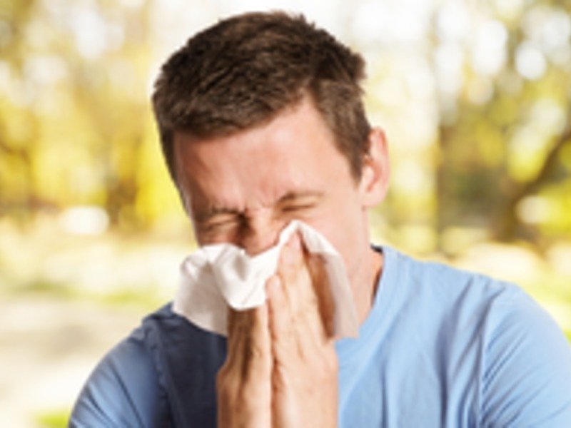 In the spring, many people suffer from hay fever, an allergy-related inflammation of the nasal mucosa. Currently, researchers from the University Medical Center in Mainz and the Max Planck Institute for Chemistry are jointly investigating the chemical basics of allergies.