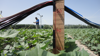 © Buhalqem Mamtimin, MPI für Chemie.