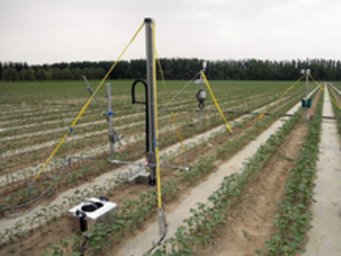 Stickoxid wurde über verschiedene Methoden gemessen: In Messkammern auf der Bodenfläche und über kleine Lufttrichter, die in unterschiedlichen Höhen über dem Boden das Gas eingesammelt haben. Stickoxid wurde über verschiedene Methoden gemessen: In Messkammern auf der Bodenfläche und über kleine Lufttrichter, die in unterschiedlichen Höhen über dem Boden das Gas eingesammelt haben.