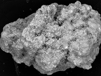 Aus dem Rasterelektronenmikroskop stammende Aufnahmen von einem Mikrometeoriten. Diese Mikrometeoriten wurden auf der Erde (Antarktis) gesammelt. Es wird angenommen, dass jedes Jahr eine relativ große Menge an Mikrometeoriten mit ähnlicher Zusammensetzung auf den Mars fällt. Ein Teil des darin enthaltenen organischen Materials könnte beim Erhitzen in Chlormethan umgewandelt werden. Aus dem Rasterelektronenmikroskop stammende Aufnahmen von einem Mikrometeoriten. Diese Mikrometeoriten wurden auf der Erde (Antarktis) gesammelt. Es wird angenommen, dass jedes Jahr eine relativ große Menge an Mikrometeoriten mit ähnlicher Zusammensetzung auf den Mars fällt. Ein Teil des darin enthaltenen organischen Materials könnte beim Erhitzen in Chlormethan umgewandelt werden.