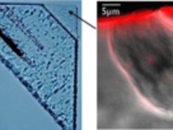 Cosmic searching for traces: The arrow points to a particle that was captured by the spacecraft, Stardust (left). Next to it, a magnified picture of the impact spot.