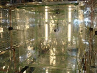 In einer 26 Kubikmeter großen Kammer erzeugten Shiraiwa und seine Kollegen Smog. Sie stellten fest, dass die Smogpartikel größer wurden als Modelle bisher vorausgesagt hatten. In einer 26 Kubikmeter großen Kammer erzeugten Shiraiwa und seine Kollegen Smog. Sie stellten fest, dass die Smogpartikel größer wurden als Modelle bisher vorausgesagt hatten.