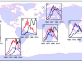 The diagramme shows the chronological sequences of the chemical PCB153 from 1950 until 2010 in depositions from the atmosphere (...). The diagramme shows the chronological sequences of the chemical PCB153 from 1950 until 2010 in depositions from the atmosphere (...).
