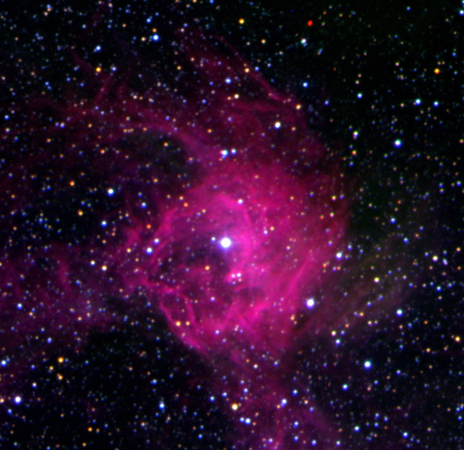 A luminous star is enveloped in a pink nebula amidst a dense field of stars.