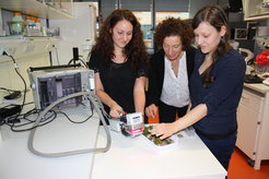 Gruppenleiterin Bettina Weber (Mitte), Doktorandin Alexandra Tamm (l.) und Postdoc Stefanie Maier (r.) untersuchen Moose und Flechten mithilfe einer CO2-Gaswechselanlage.