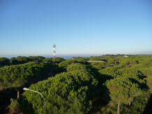 View from the observation tower (10 m height) abouve the canopy towards the sea. Blick vom ATTO-Beobachtungsturm (10 m Höhe) im Amazonas-Regenwald über die Baumkronen hinweg auf das Meer.