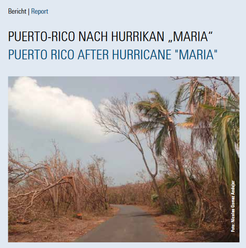 Newsletter front page 1/2018. A deserted road in Puerto Rico flanked by uprooted trees and debris after Hurricane Maria's destruction.