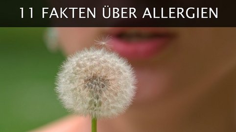 <p>Wissen im Herzen. Deutsch, 2:15, 2016.</p>