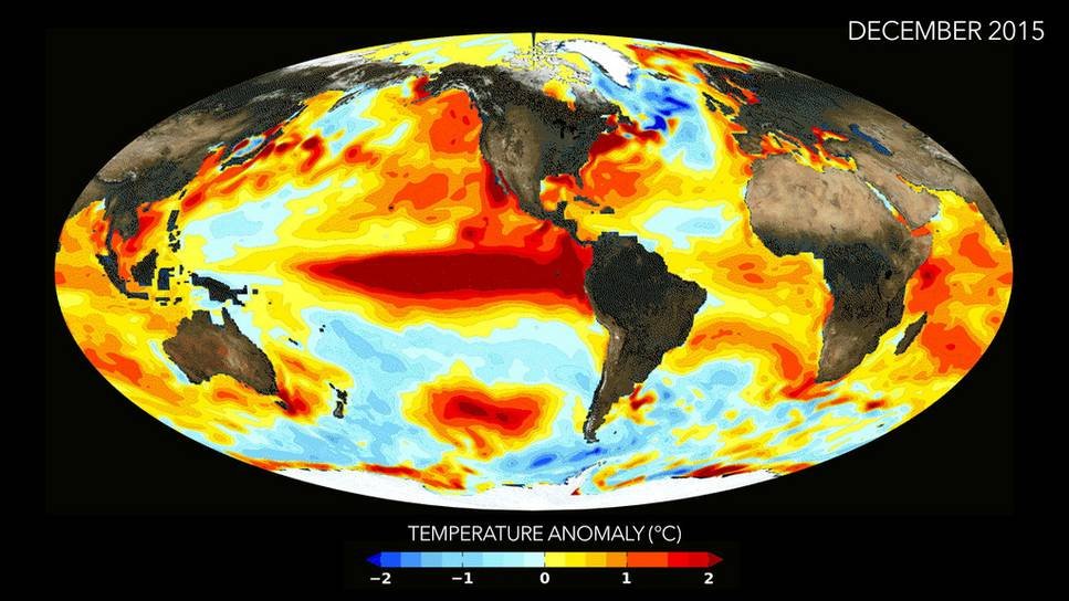 Water temperatures in the eastern and central Pacific were significantly increased through El Niño in December 2015. (source: NASA) Temperature anomalies across the globe in December 2015, highlighting warmer and cooler regions.