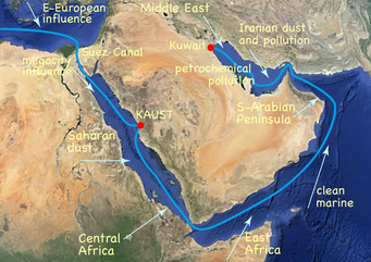 Ship track of the AQABA expedition. Meteorological conditions during the summer are characterized by a ”heat low” over the Arabian Peninsula. This produces a wide range of pollution conditions along the track. The prevailing wind directions are indicated by arrows. Source: Google Earth with edits from MPIC Satellite map displaying pollution routes from Europe, the Middle East, and Africa.