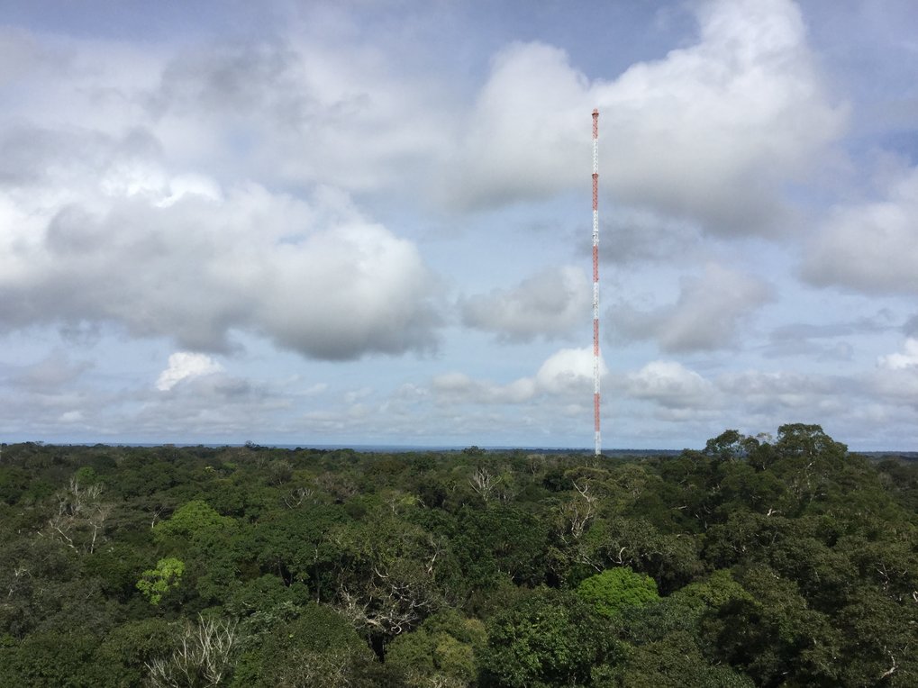 Tall red and white  metall mesh tower rising above a dense forest under a cloudy sky.