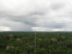 Regenwolken über dem Amazonaswald. Wissenschaftler fanden heraus, dass der Abwind von Niederschlag die Vorläufer der Wolkenkeime aus großen Höhen bis in die Luftschicht bringt, aus der Wolken entstehen. Bildquelle: Christopher Pöhlker, MPI für Chemie