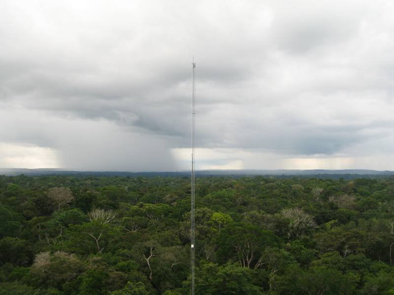 Regenwolken über dem Amazonaswald. Wissenschaftler fanden heraus, dass der Abwind von Niederschlag die Vorläufer der Wolkenkeime aus großen Höhen bis in die Luftschicht bringt, aus der Wolken entstehen. Bildquelle: Christopher Pöhlker, MPI für Chemie