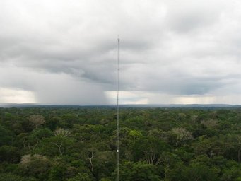 Regenwolken über dem Amazonaswald. Wissenschaftler fanden heraus, dass der Abwind von Niederschlag die Vorläufer der Wolkenkeime aus großen Höhen bis in die Luftschicht bringt, aus der Wolken entstehen. Bildquelle: Christopher Pöhlker, MPI für Chemie Regenwolken über dem Amazonaswald. Wissenschaftler fanden heraus, dass der Abwind von Niederschlag die Vorläufer der Wolkenkeime aus großen Höhen bis in die Luftschicht bringt, aus der Wolken entstehen. Bildquelle: Christopher Pöhlker, MPI für Chemie