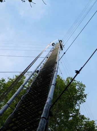 Hoch über den Baumkronen sammelten Wissenschaftler, unter denen auch Max-Planck-Forscher aus Mainz und Jena waren, Luftproben, um die Anzahl und Größe von winzigen Feinstaubteilchen zu bestimmen. Bild: Florian Ditas, MPI für Chemie Hoch über den Baumkronen sammelten Wissenschaftler, unter denen auch Max-Planck-Forscher aus Mainz und Jena waren, Luftproben, um die Anzahl und Größe von winzigen Feinstaubteilchen zu bestimmen. Bild: Florian Ditas, MPI für Chemie