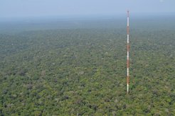 Atto Tower in the Amazon Rainforest