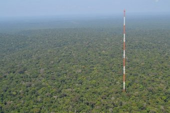 ATTO Turm im Amazonas Regenwald