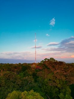 The research tower ATTO (= a red antenna tower) rises above dense forest canopy in the Brazilian rainforest, with scattered clouds in the blue sky.