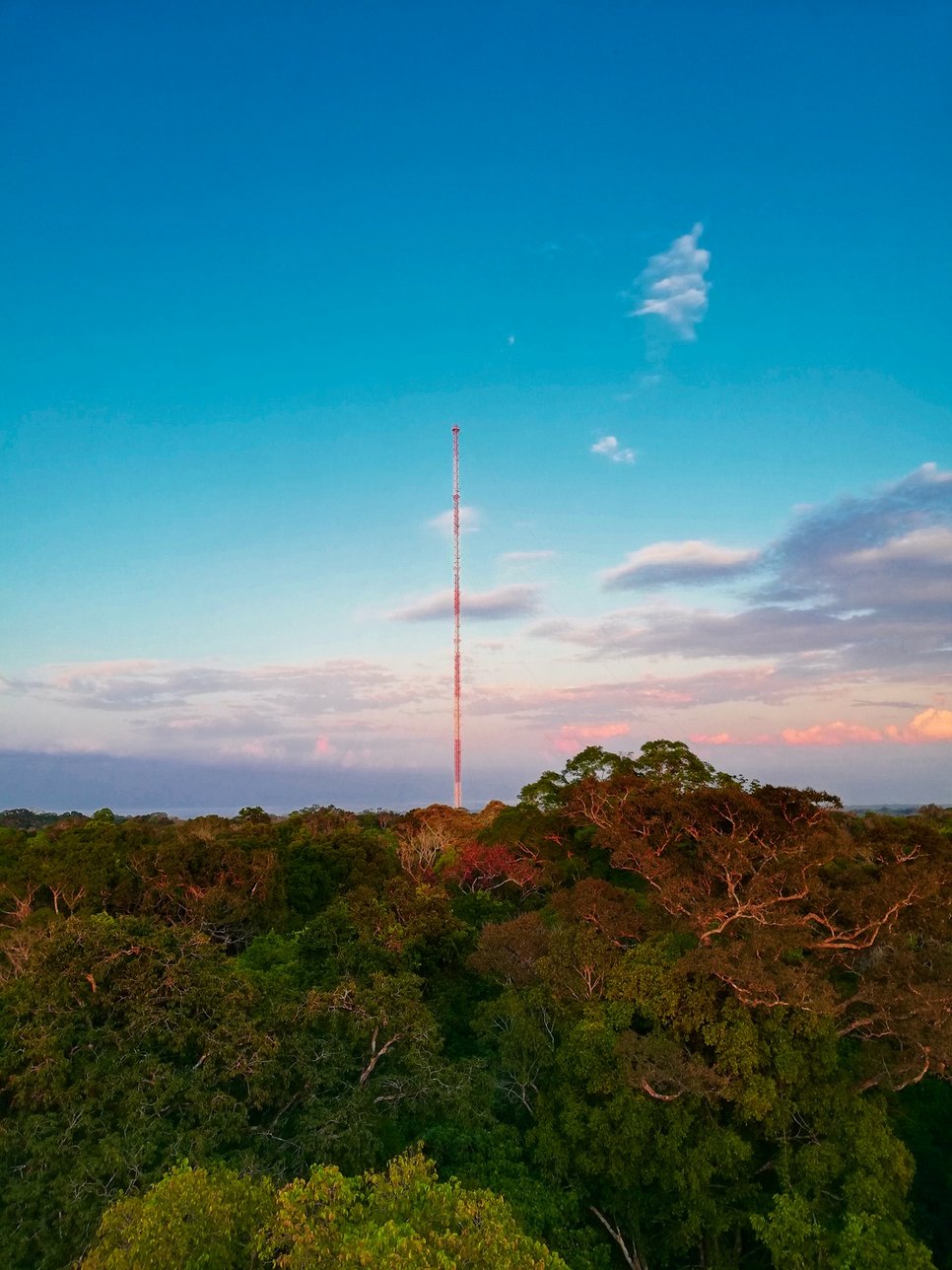 The research tower ATTO (= a red antenna tower) rises above dense forest canopy in the Brazilian rainforest, with scattered clouds in the blue sky.