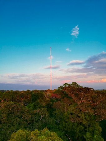 Quelle: Sebastian Brill/MPIC Über einem üppigen, grünen Wald (= Amazonas) erhebt sich ein schmaler, hoher rot-weißer Turm (=ATTO), der sich vor einem klaren, blauen Himmel mit wenigen Wolken abzeichnet.