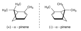 Grafik: Die beiden spiegelbildlichen Formen von α-Pinen. Chemische Strukturformeln von (+)-α-Pinen und (-)-α-Pinen, nebeneinander.