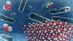 A scientific illustration depicting nanostructures interacting with densely packed water molecules, highlighting molecular dynamics.
