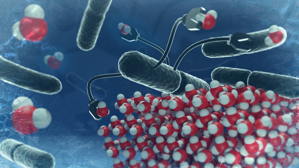 A scientific illustration depicting nanostructures interacting with densely packed water molecules, highlighting molecular dynamics.