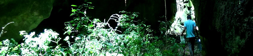 Inorganic Gas Isotope Geochemistry Forest