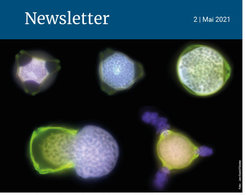 Deckblatt Newsletter der MPI für Chemie. Zweite Ausgabe 2021.