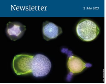 Microscopic structures with diverse geometric forms and vibrant colors, including shades of blue, green, and purple, set against a dark background. The image is labeled as part of a newsletter dated May 2021.