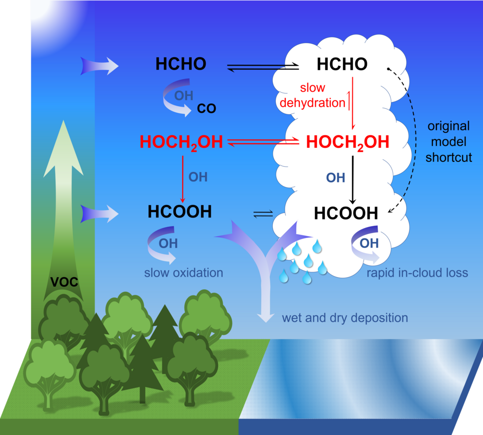 Graphic showing efficient multi-phase conversion of formaldehyde to formic acid enabled by liquid cloud droplets.