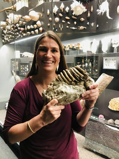 Geochemikerin Dr. Tina Lüdecke hält einen zwei Millionen Jahre alten Backenzahn eines Elefanten aus Malawi in den Händen.