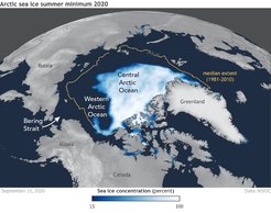 Global climate change is warming the Arctic Ocean and shrinking sea ice. Here, the blue-white ice cap shows the coverage of sea ice at its smallest extent in summer 2020, and the yellow line shows the typical Arctic sea ice minimum extent between 1981 and 2010. Some have proposed that the newly exposed sea surface will lead to a plankton population boom and a burgeoning ecosystem in the open Arctic Ocean, but a team of Princeton scientists say that’s not likely. They have examined the history and supply rate of nitrogen, a key nutrient. Their recent work finds that stratification of the open Arctic waters, especially in the areas fed by the Pacific Ocean via the Bering Strait, will prevent surface plankton from receiving enough nitrogen to grow abundantly.